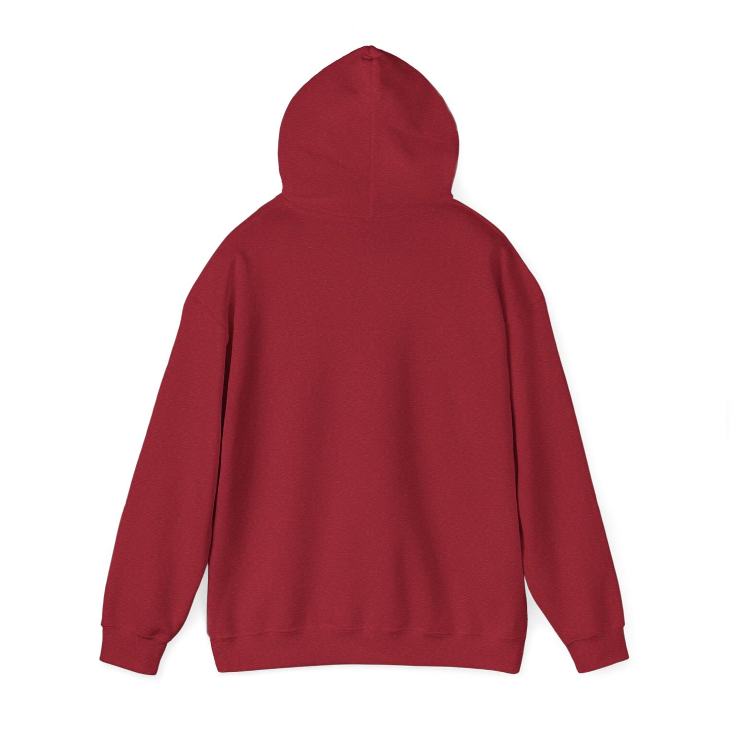 Hoodie - Rose Electric Audio (style 1)