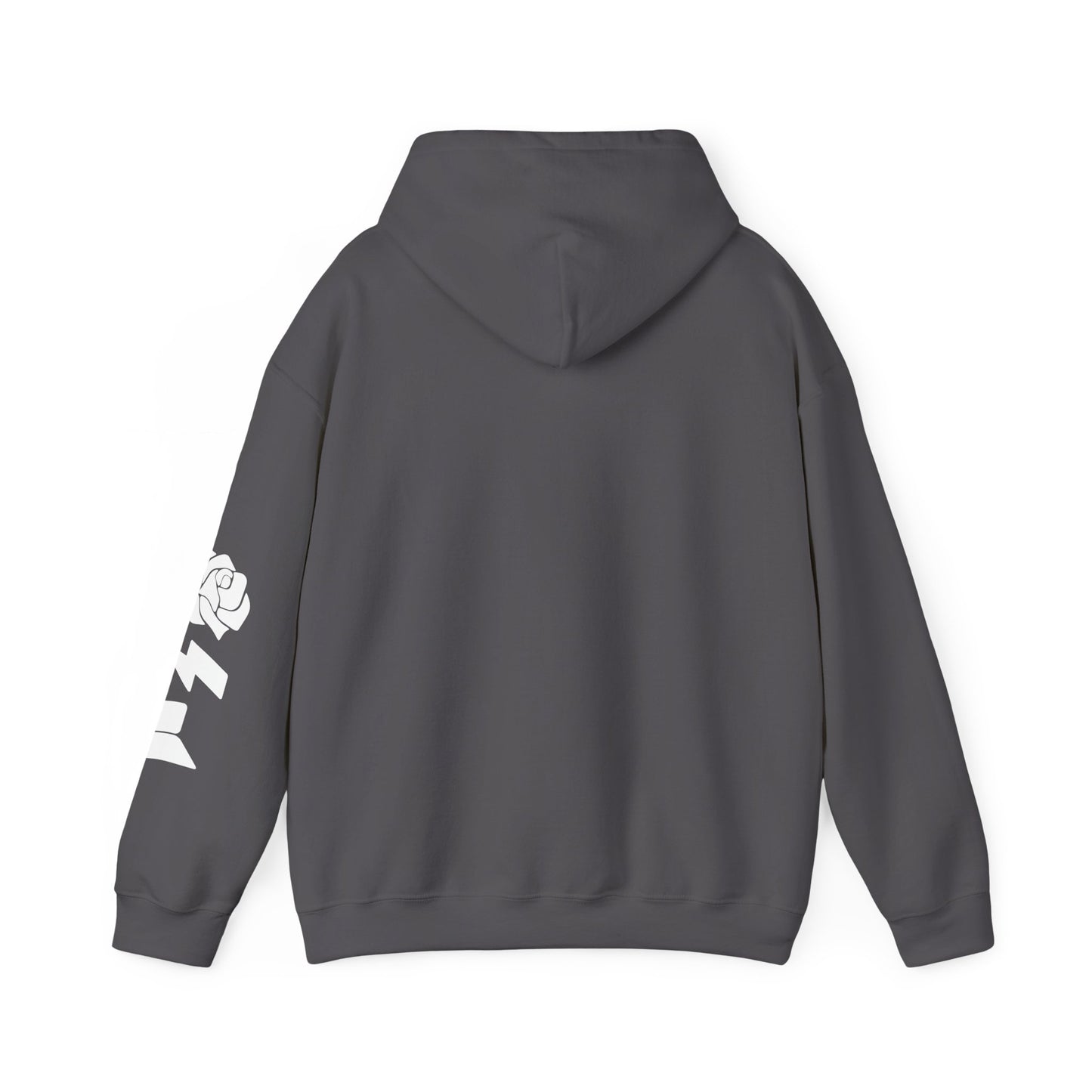 Hoodie - Rose Electric Audio (style 1)