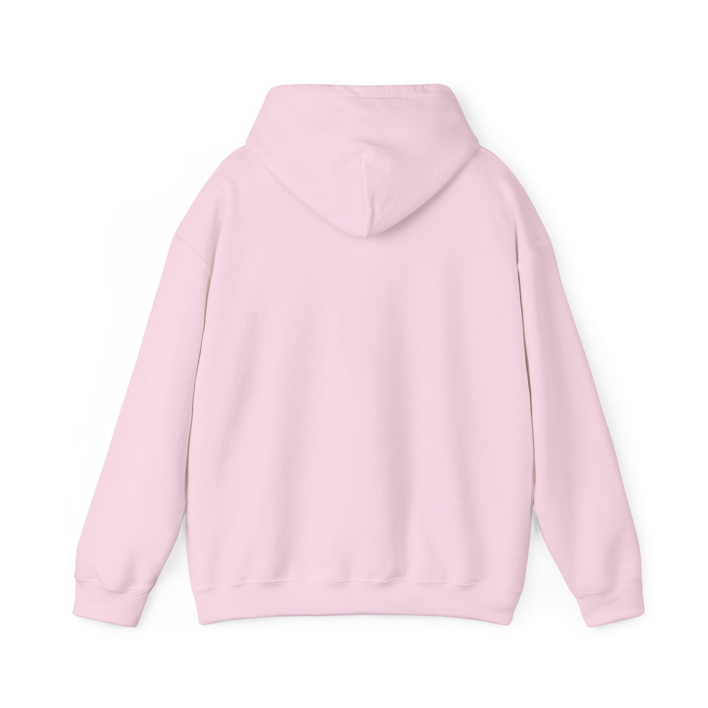 Hoodie - Rose Electric Audio (style 1)